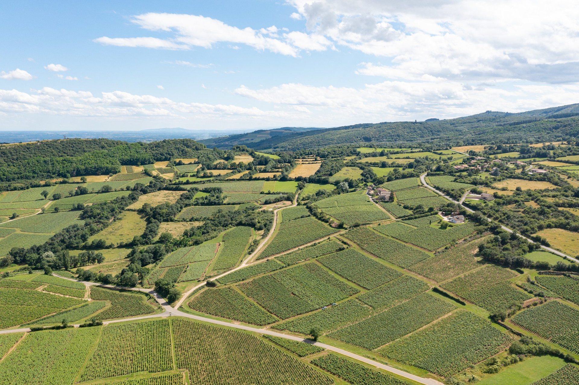 Agriculture & viticulture