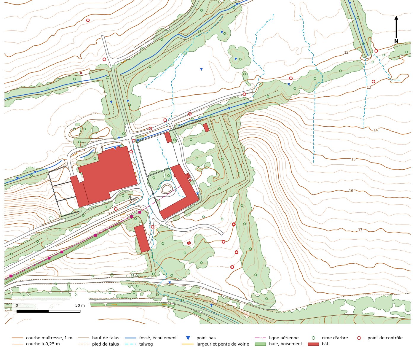 Extrait du plan topographique livré