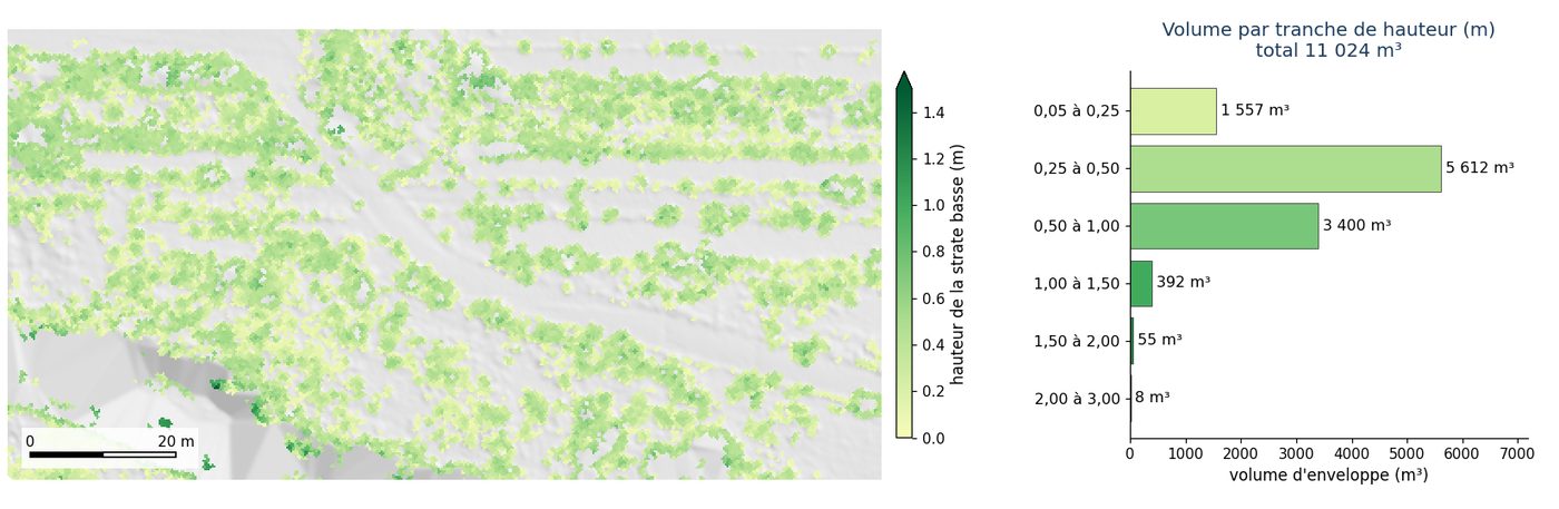 Hauteur de la végétation basse et volume par tranche