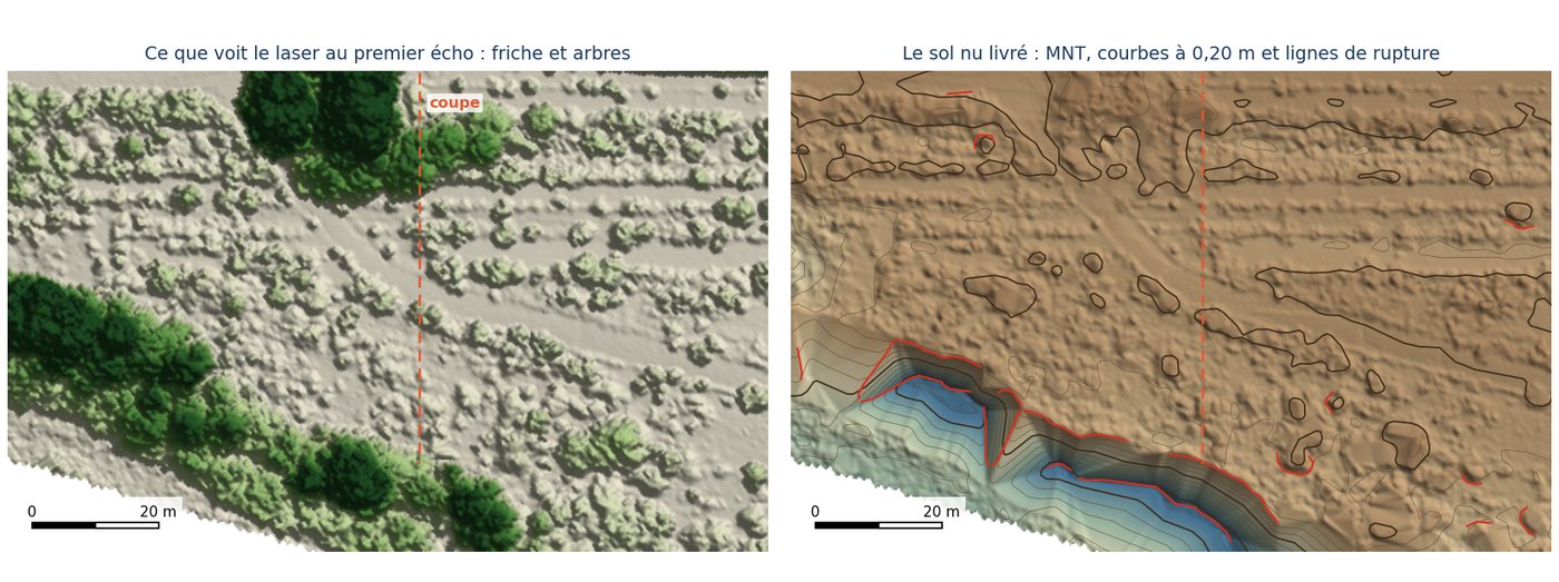 Relevé LiDAR d'un terrain en friche pour un projet photovoltaïque, du sol nu au cubage de la végétation